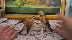 Немецкая барахолка.Что можно там найти?