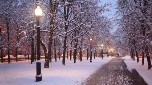 "Эх...не дали полетать!" - Веб рассказ