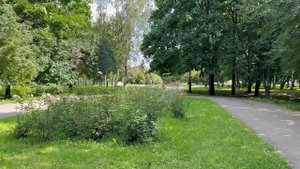 Сад им. 30-летия Октября, Санкт-Петербург