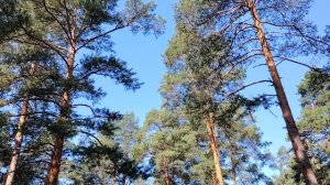 Почему я не люблю работу по найму в организации?  Как я до такого докатился?