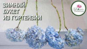 Гортензия для зимних букетов - как правильно высушить