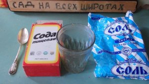 КАК ЛЕЧИТЬ КРАПИВНИЦУ_ КРАСНЫЕ ПУПРЫ ПО ВСЕМУ ТЕЛУ за 6 ЧАСОВ,