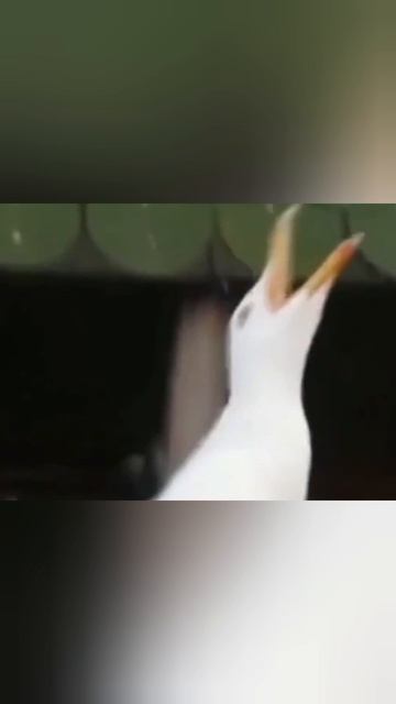 ок. 1 смотреть онлайн