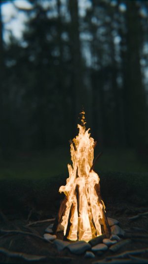 Симуляция огня