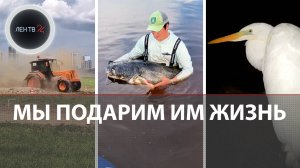 Автобус столкнулся с поездом |На протезах на вершину | Поймал сома мечты | Чемпионат по пахоте