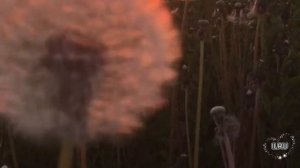 Истории из жизни|Я не игрушка на прокат|Аудио рассказы|Аудиокниги слушать онлайн|Жизненные истории