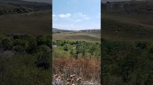 🔴 ATENTIE Salarii de sute de mii primesc minștrii judecătorii procurorii președenția Parlamentari