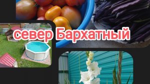 жизнь на Крайнем Севере/Бархатный месяц