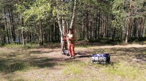В тишине озерных берегов
