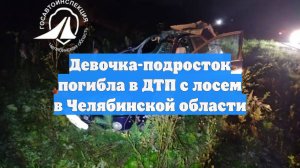 Девочка-подросток погибла в ДТП с лосем в Челябинской области