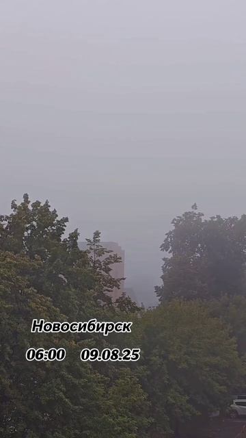 Утренний туман 9 августа смотреть онлайн