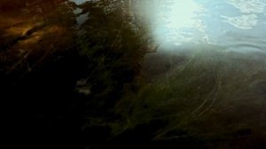 The Pre-Raphaelite Brotherhood, PRB