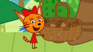 ТРИ КОТА. ТРИ КОТА НА ПИКНИКЕ.