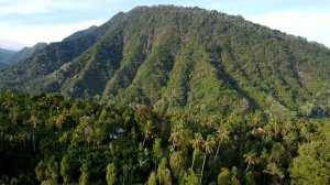 Поход в джунгли  ч.5