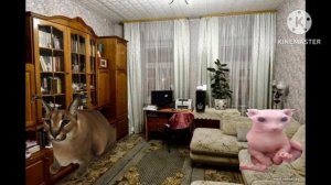 Шлёпа ряльная жизнь продолжение