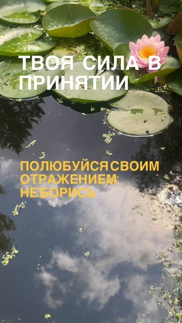 Твоя сила в принятии себя смотреть онлайн