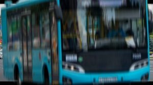 Автобус 299 Московская площадь СНТ Павловское 2