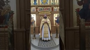 Спасение утопающего Петра. О доверии Богу и призвании Бога. Проповедь о. Андрея. 10.8.25