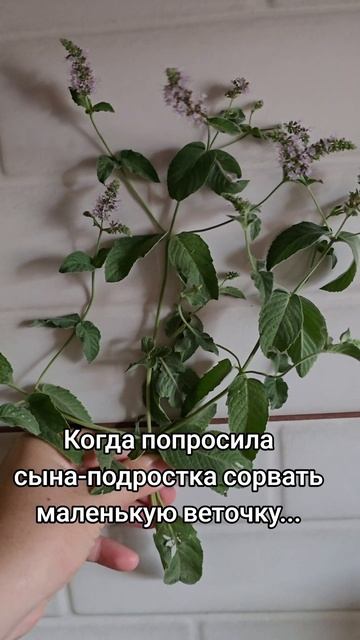 Ох уж эти подростки семья дети охужэтидетки