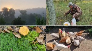 ВОСКРЕСЕНЬЕ. ЕЗДИЛИ В ЛЕЗ ЗА ГРИБАМИ, СБИЛА МАСЛО,ПЕРЕСЫПАЛА ЗЕРНО.