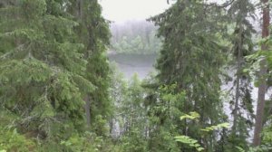 Круиз из Петербурга в Москву. - 2 часть