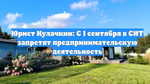 Юрист Кулачкин: С 1 сентября в СНТ запретят предпринимательскую деятельность