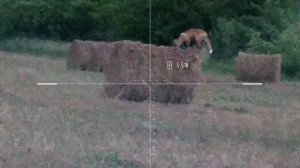 PARD_20250809_201805