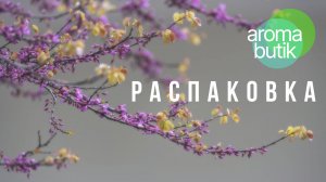 Распаковка Легенды: Чистота, Стиль и Свобода 💫