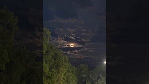 Предательство друга