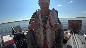 Рыбалка 10.08.25.
Чтоб поймать, надо отпустить сначала 🙂