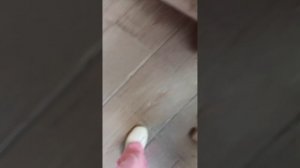 VID_20250804_151827.mp4