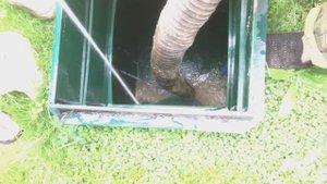 ЛОС ЛИДЕР откачка