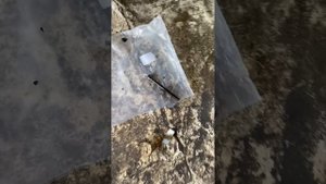 Ваз 2110 1.6 8 клапанов 2005 год пробег 340 тысяч 1 хозяин. Разбор двигателя.