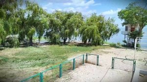 Таганрог, море, недалеко от пляжа Тополёк . Дикие утки #4