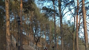 473 ступени. Кисловодск. Подъем на гору Сосновую.