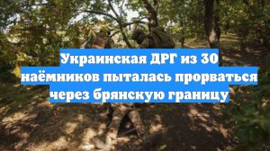 Украинская ДРГ из 30 наёмников пыталась прорваться через брянскую границу