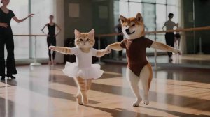Котики и танцевальная школа