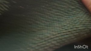 " Вяжем играя" с Еленой Велиной. 9 тур . Финиш. Есть 2 готовые работы!