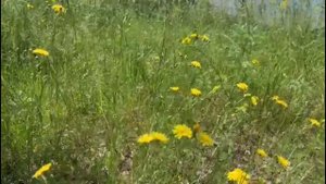 Если вы будете продолжать делать это то разочарование и выгорание  вам обеспечены