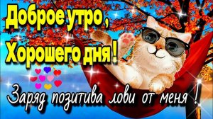 С ДОБРЫМ УТРОМ ПОНЕДЕЛЬНИКА!