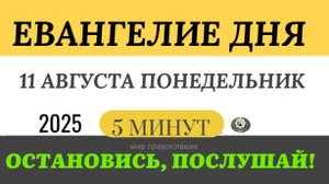 11 августа понедельник Евангелие дня 2025 с толкованием #евангелие (5 минут)