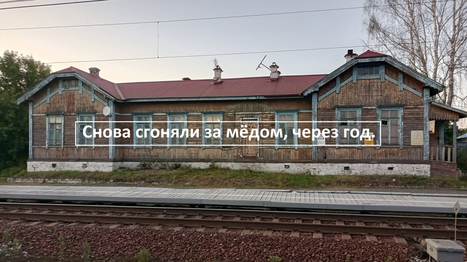 Снова сгоняли за мëдом.