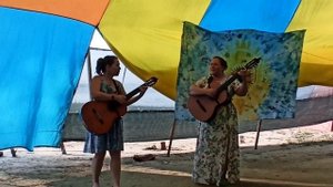 Зелёная карета