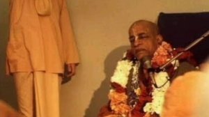 Утренняя прогулка Шрилы Прабхупады 10.08.1973, Париж. Об убийстве животных.