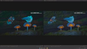 Обзор Сравнения : И Разъяснение.. HDR vs SDR