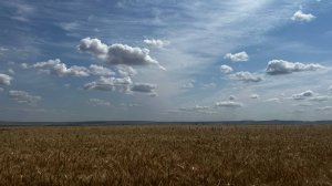 Участок 516га Пашни. Ставропольский край