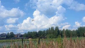 Стрекозок скок скок