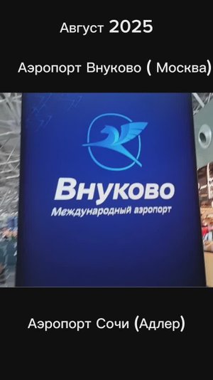 Перелет Москва (аэропорт Внуково)-Сочи. 2025