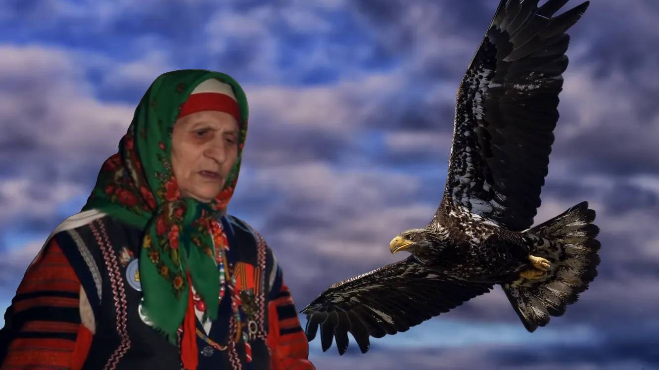 Орёл мой сизокрылый. смотреть онлайн