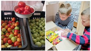 "Жизнь на пенсии".. Собрала урожай помидор.)) Получила посылку от подписчицы.